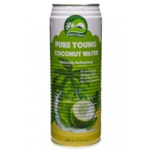 Jauno kokoso vanduo, Nature's Charm, 520 ml